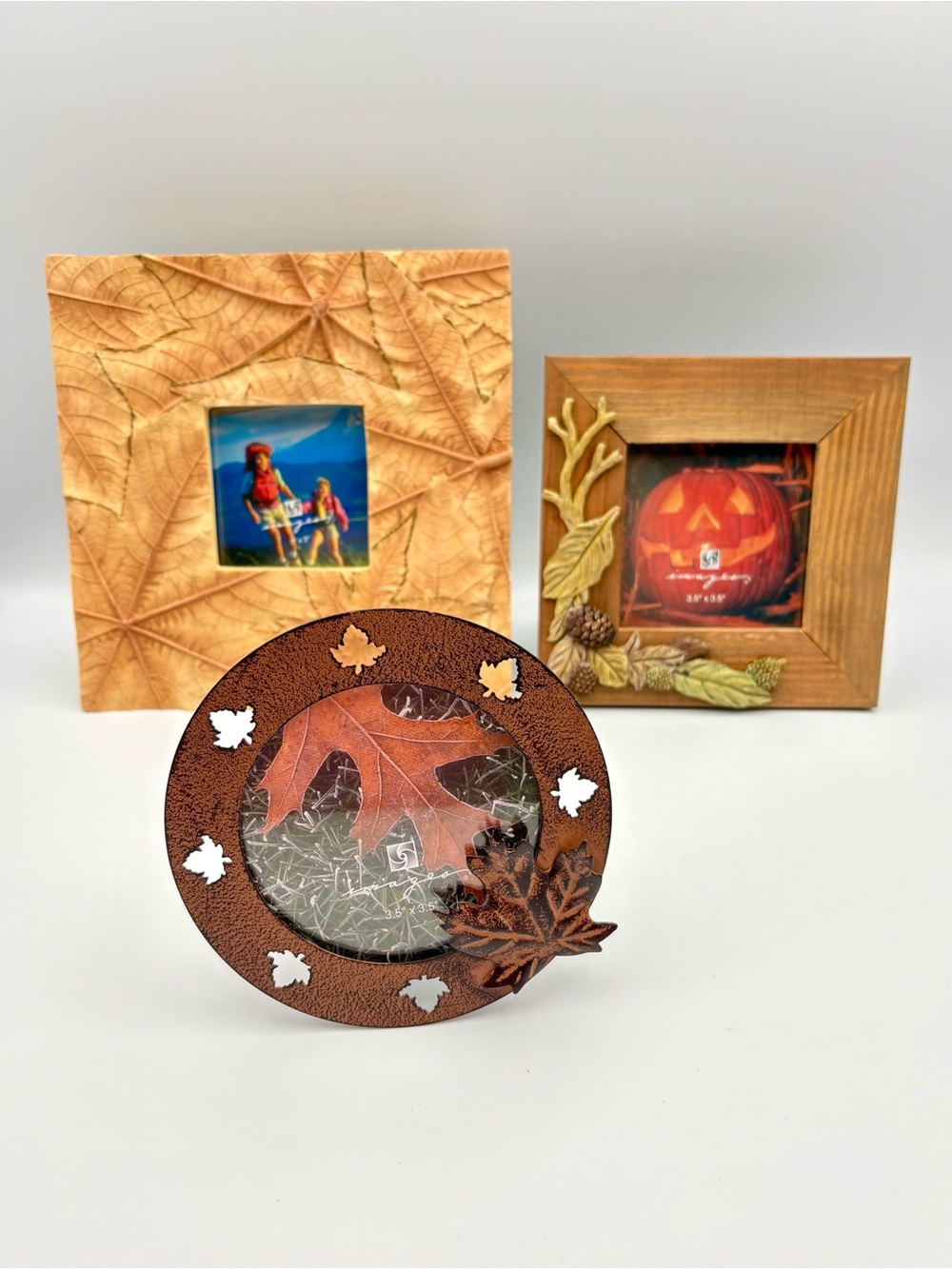 Set of 3 Fall Themed Frames